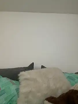 Ania rose online show from February 7, 2026, 5:54 pm