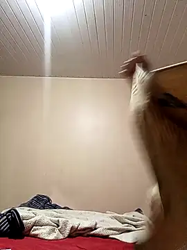 arybiten online show from February 10, 2026, 10:14 am