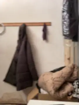 Ndodemnyamaxh online show from December 23, 2025, 4:01 am