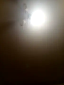 Snapshot of Niesmialyy chatting on February 16, 2026, 8:18 pm Niesmialyy online show from February 16, 2026, 8:18 pm