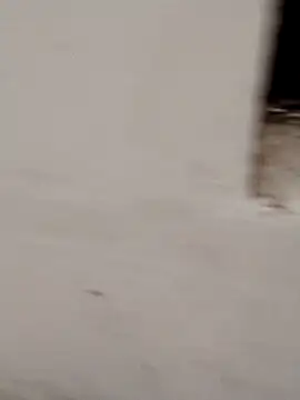 Snapshot of Jacqueline007 chatting on December 21, 2025, 12:57 am Jacqueline007 online show from December 21, 2025, 12:57 am