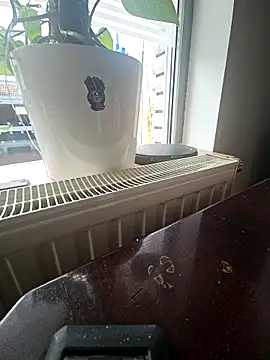 DerDonutdealer online show from February 28, 2026, 11:54 am