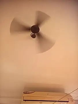 RubyEntity online show from November 8, 2025, 5:33 am