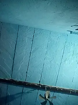 Chinki pande online show from November 26, 2025, 2:50 pm