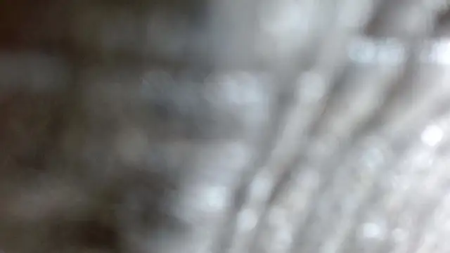 the breasts of desir  online show from November 24, 2025, 7:25 pm