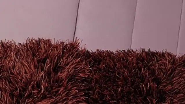 LannyShell online show from March 26, 2026, 5:00 pm