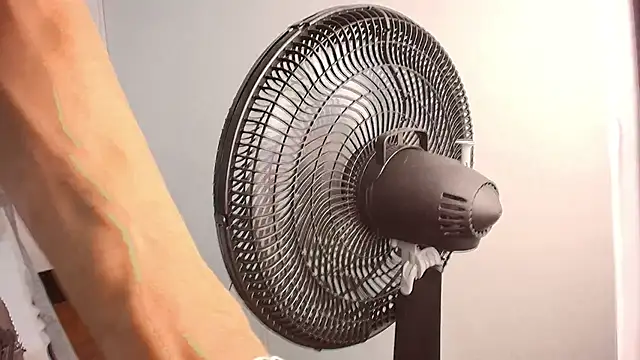 GimenaLyam online show from November 12, 2025, 12:20 pm