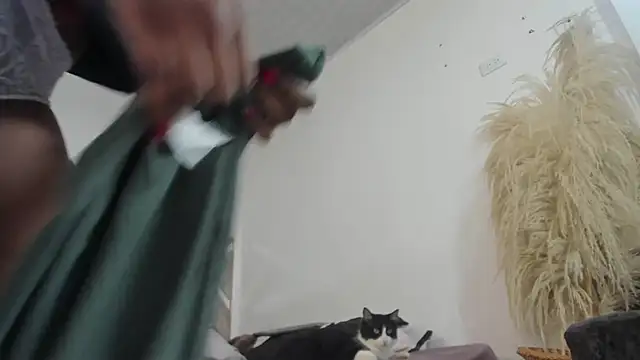 Camile Queen online show from November 14, 2025, 2:43 pm