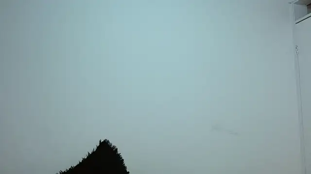 dayan hanks online show from March 23, 2026, 3:28 am