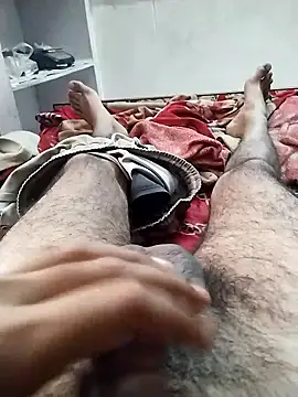 hyderabad single online show from January 17, 2026, 6:17 am