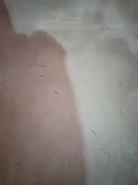 blonde blg online show from December 20, 2025, 12:46 am