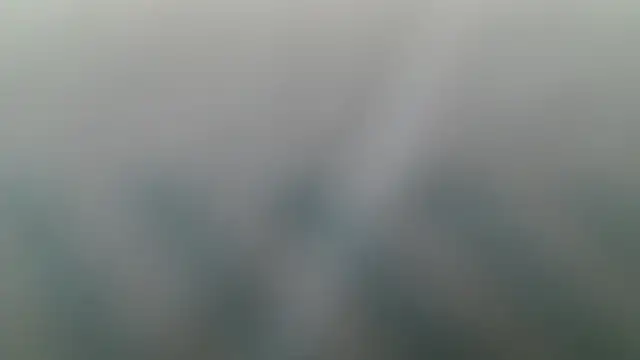 Natali-Gucci online show from November 25, 2025, 2:06 pm