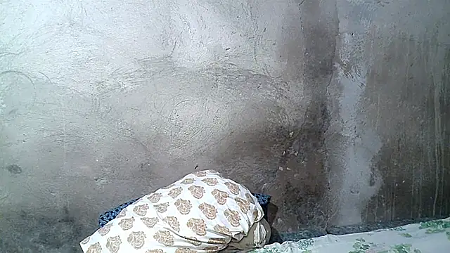 Snapshot of xwindyxxx chatting on February 19, 2026, 6:43 am xwindyxxx online show from February 19, 2026, 6:43 am