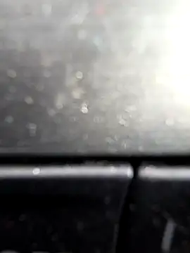 arcacsel online show from December 4, 2025, 12:04 pm