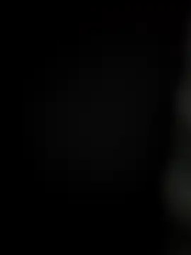 arcacsel online show from December 14, 2025, 10:26 pm