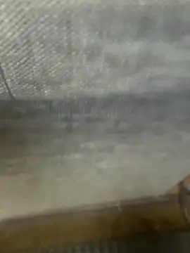 Kyouka wife online show from February 3, 2026, 3:26 am