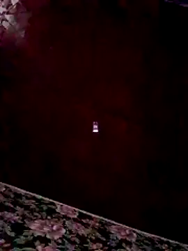 RomiTreats online show from November 26, 2025, 11:32 am