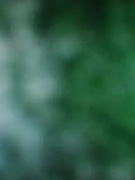 Snapshot of Rouse_hot_ chatting on December 20, 2025, 3:20 am Rouse hot online show from December 20, 2025, 3:20 am