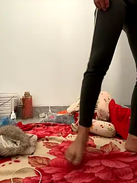 Snapshot of pitty_mymi chatting on November 30, 2025, 8:37 am pitty mymi online show from November 30, 2025, 8:37 am