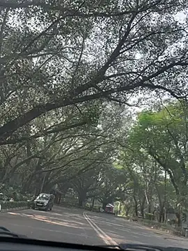 sexyayeshadesi online show from November 20, 2025, 5:30 am