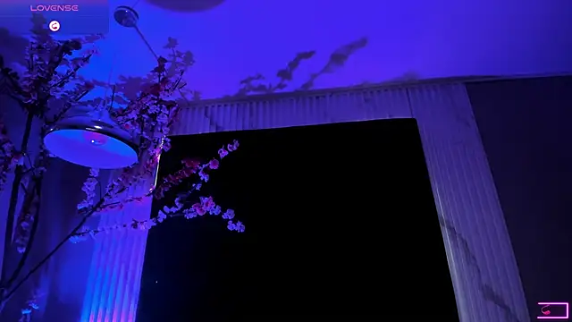 Snapshot of arya_alaya_cr chatting on November 23, 2025, 11:53 am arya alaya cr online show from November 23, 2025, 11:53 am