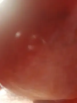 Snapshot of Ratacrocante chatting on December 19, 2025, 8:55 pm Ratacrocante online show from December 19, 2025, 8:55 pm