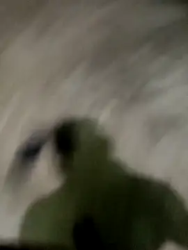 spermc online show from November 27, 2025, 4:18 pm