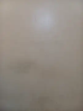 StormzyLeila online show from December 1, 2025, 4:02 am