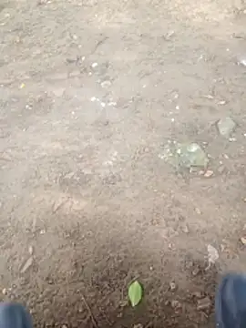 Snapshot of Jeison0323 chatting on January 9, 2026, 8:49 pm Jeison0323 online show from January 9, 2026, 8:49 pm