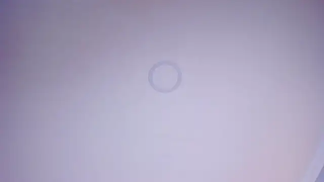 Charlotte Williams 1 online show from November 27, 2025, 12:49 pm