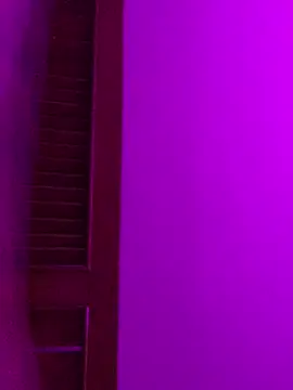 Dannii- online show from April 14, 2026, 12:59 am