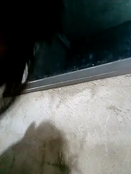 Ava-120 online show from February 17, 2026, 3:09 pm