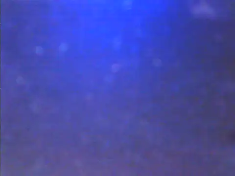 Sweet dove05 online show from November 26, 2025, 4:45 am