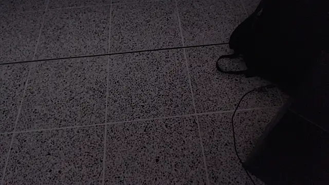 Dio  morningstar online show from April 13, 2026, 12:20 pm