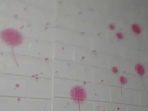 Kim mon online show from November 29, 2025, 2:17 pm