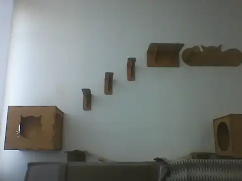 Temp7 online show from March 6, 2026, 11:16 am