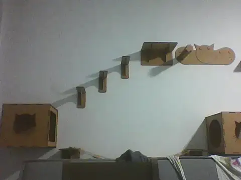 Temp7 online show from February 25, 2026, 11:48 pm