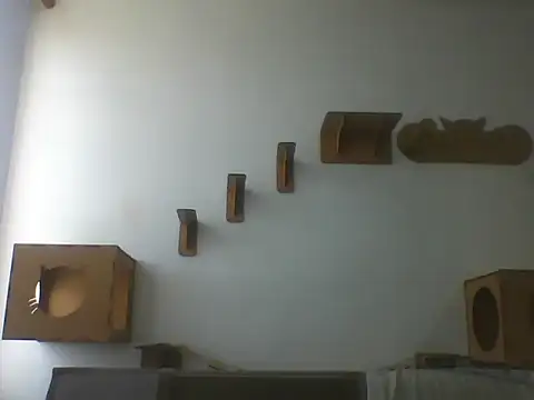 Temp7 online show from March 7, 2026, 12:10 pm