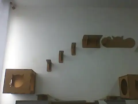 Temp7 online show from February 23, 2026, 6:08 pm