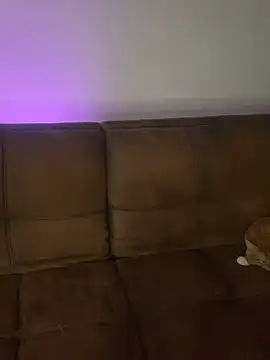 Little  Danni1 online show from February 14, 2026, 2:12 am