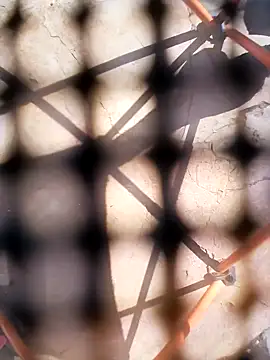 Snapshot of Eezxxx chatting on December 3, 2025, 7:30 am Eezxxx online show from December 3, 2025, 7:30 am