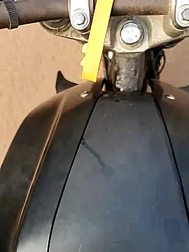 Meow buggie online show from December 23, 2025, 2:55 am