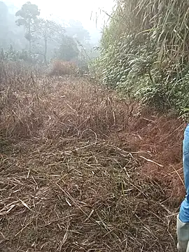 Snapshot of nangmo chatting on March 1, 2026, 1:16 am nangmo online show from March 1, 2026, 1:16 am