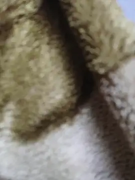 luckyutube online show from December 21, 2025, 3:47 pm