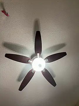 Snapshot of Kiki_hammyy chatting on February 20, 2026, 6:19 am Kiki hammyy online show from February 20, 2026, 6:19 am