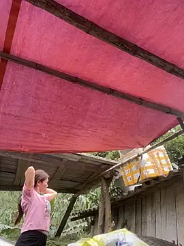 meganmeo online show from March 24, 2026, 5:51 am