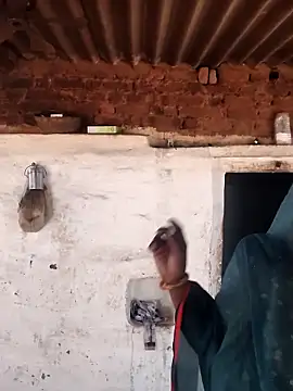 Babita Gori online show from February 15, 2026, 5:41 am