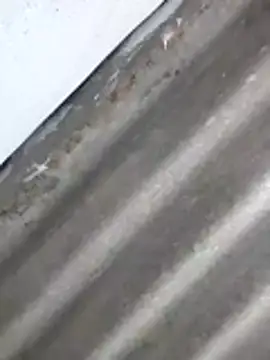 Babita Gori online show from April 8, 2026, 2:29 pm