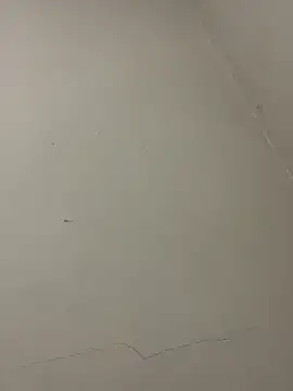 PartiedOmelet online show from January 13, 2026, 1:48 pm