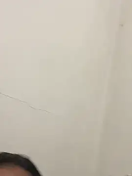 PartiedOmelet online show from December 17, 2025, 2:22 pm